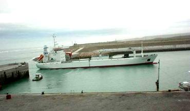 muelle